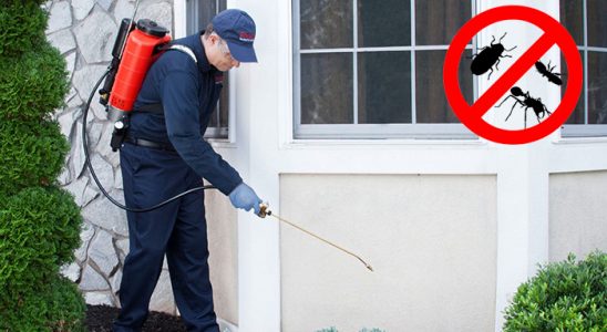Bucak Bit İlaçlama böcek ilaçlama ve haşere kontrolü — ilaclama-tr.com